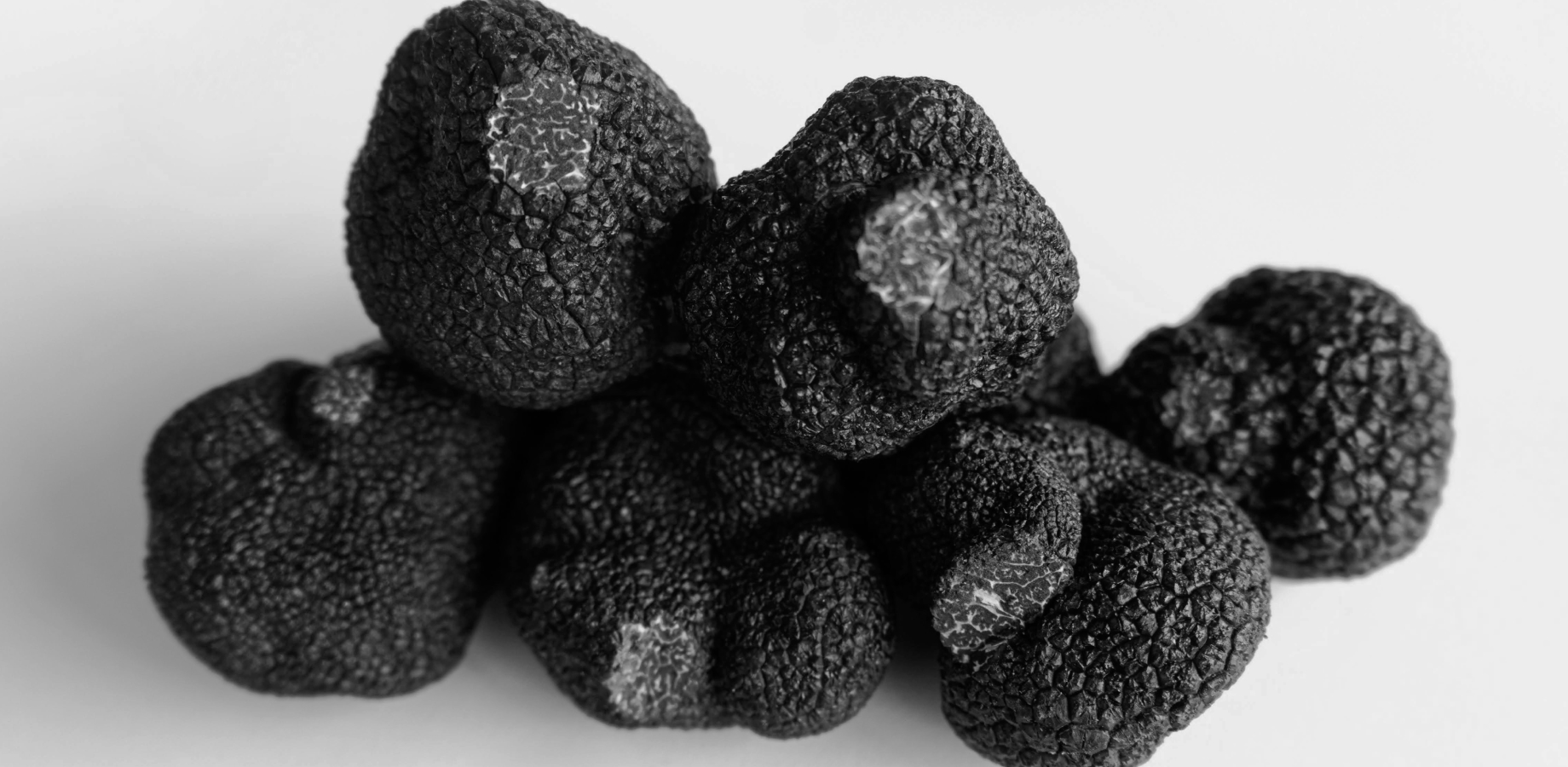 Black Perigord Truffle